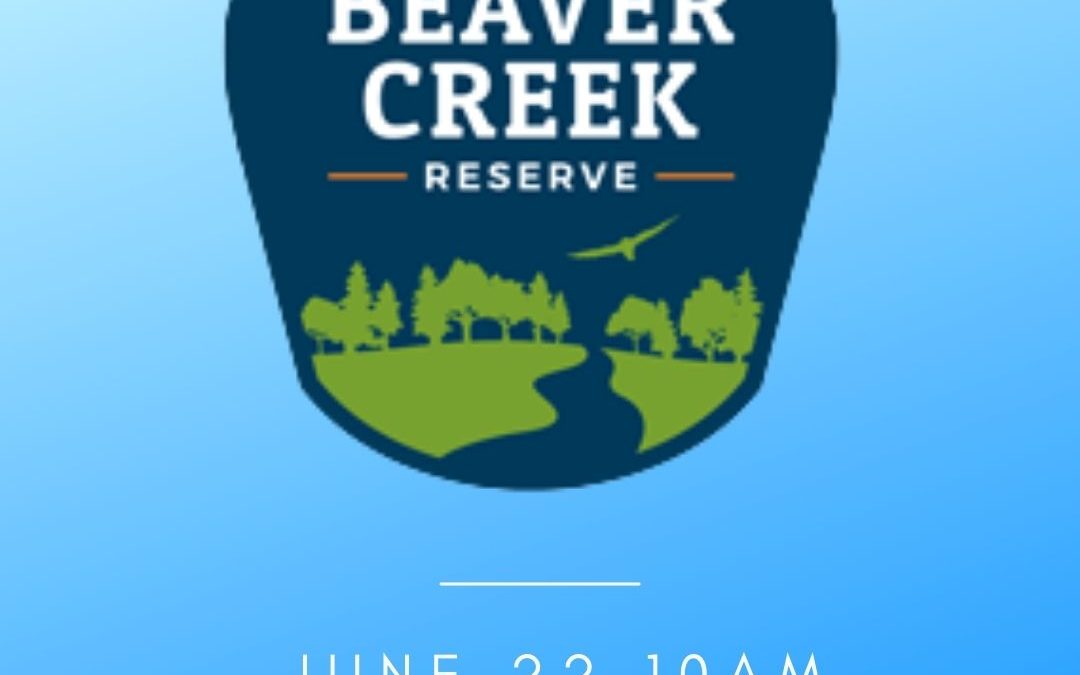 Program at the Park: Beaver Creek Reserve
